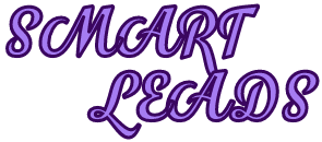 Smart leads Logo
